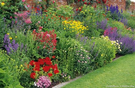  Cool Season Flowers: A Gardener's Guide - Un Jardin de Fleurs pour Chaque Saison et une Ode aux Délices Éphémères